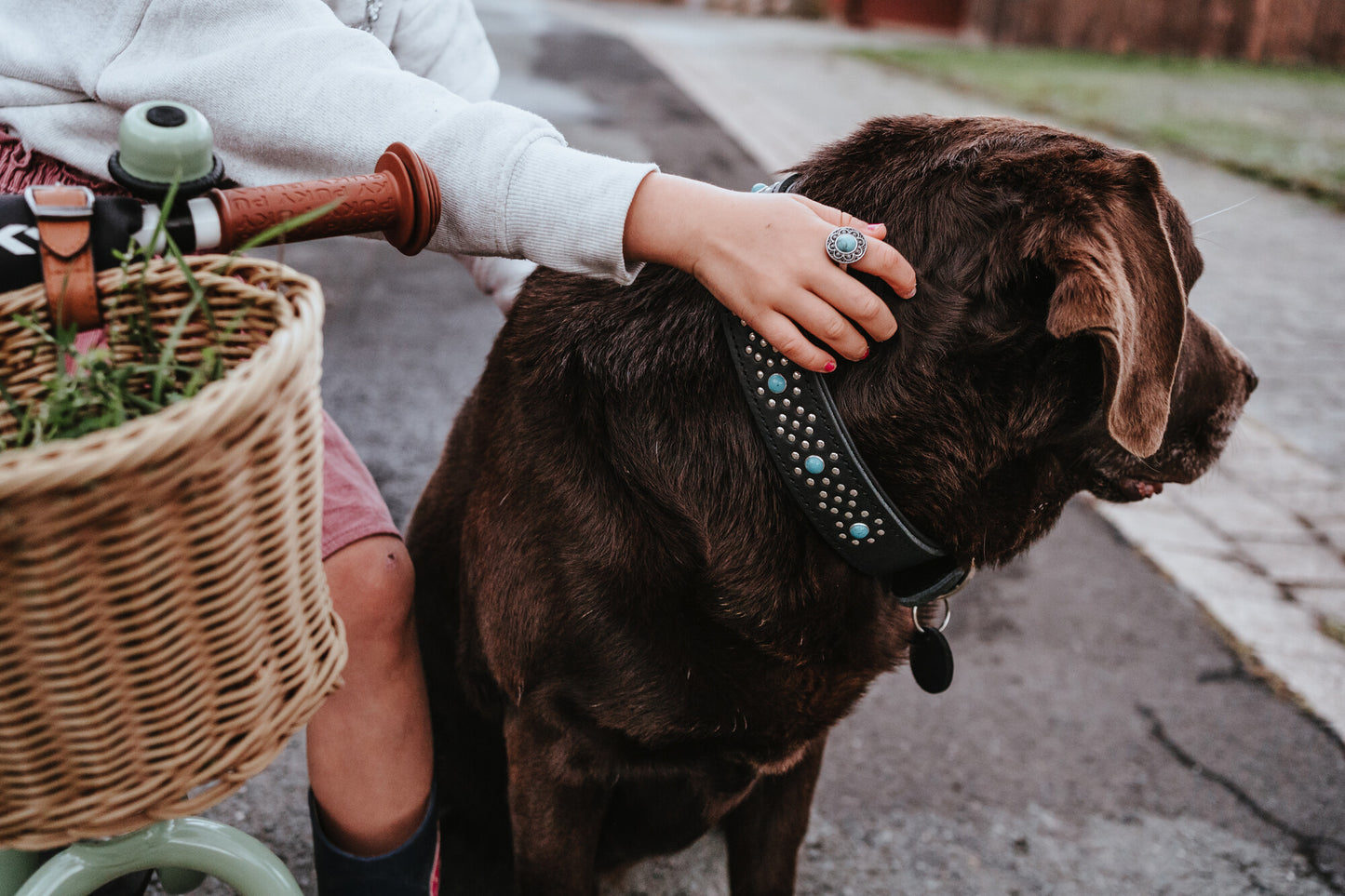 Madona Boyun Tasması