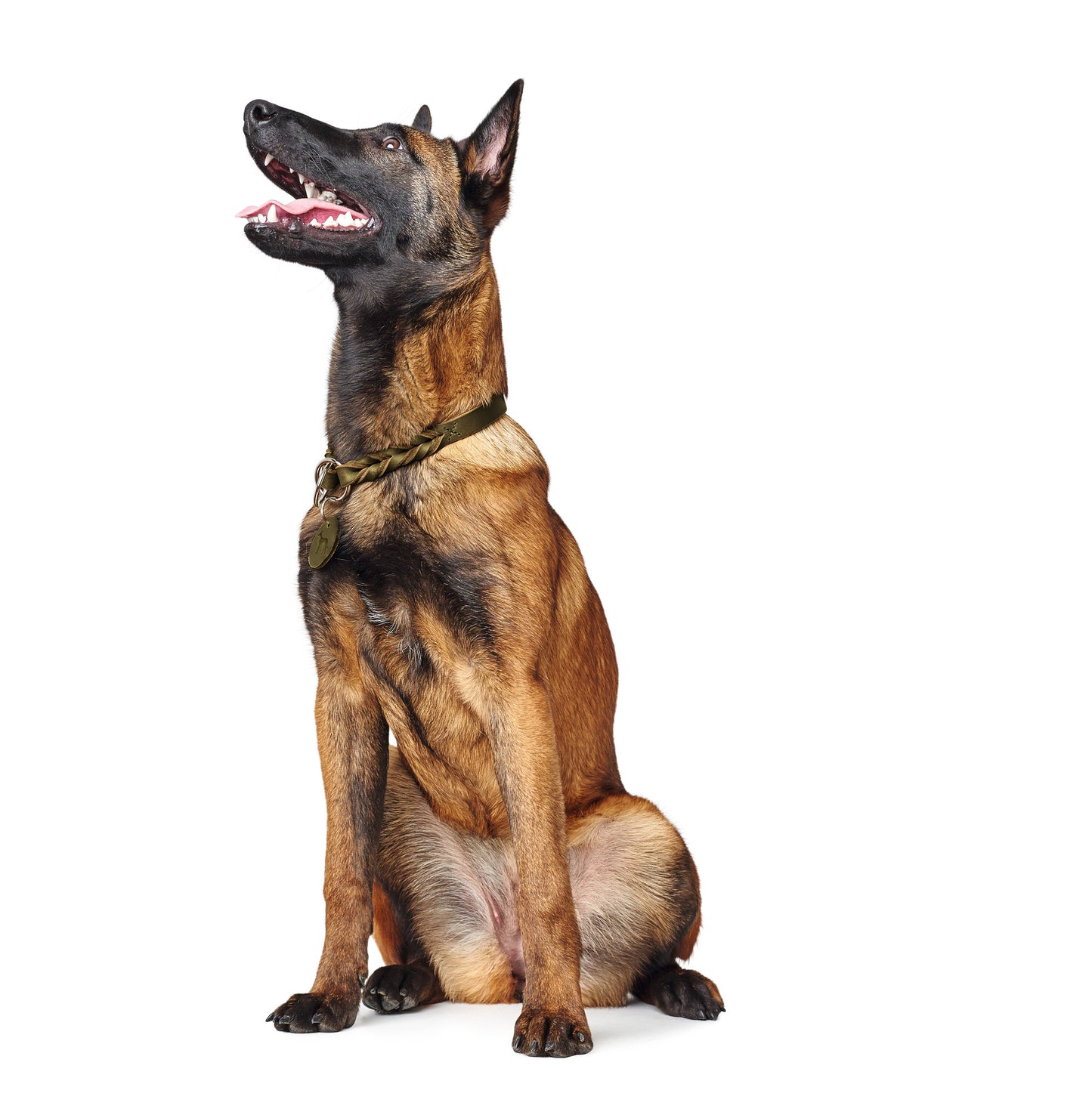 Solid Education T-Collar Boyun Tasması