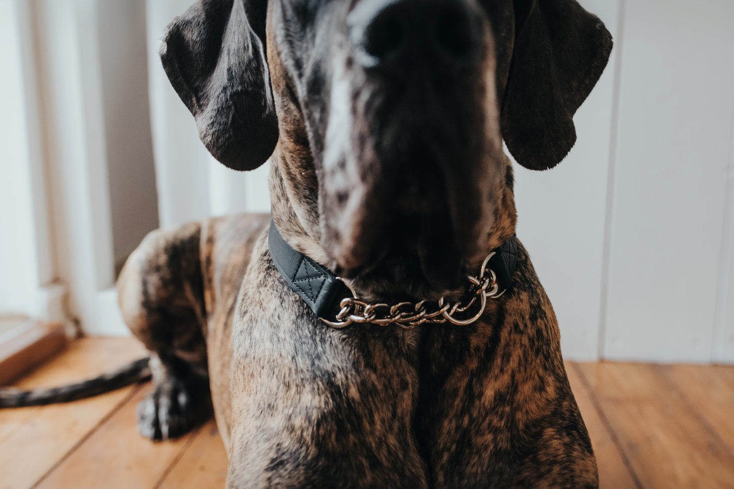 Aalborg Chain Boyun Tasması