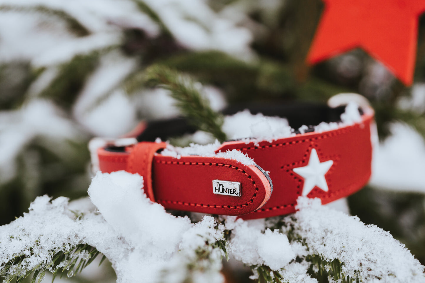 Magic Star Boyun Tasması