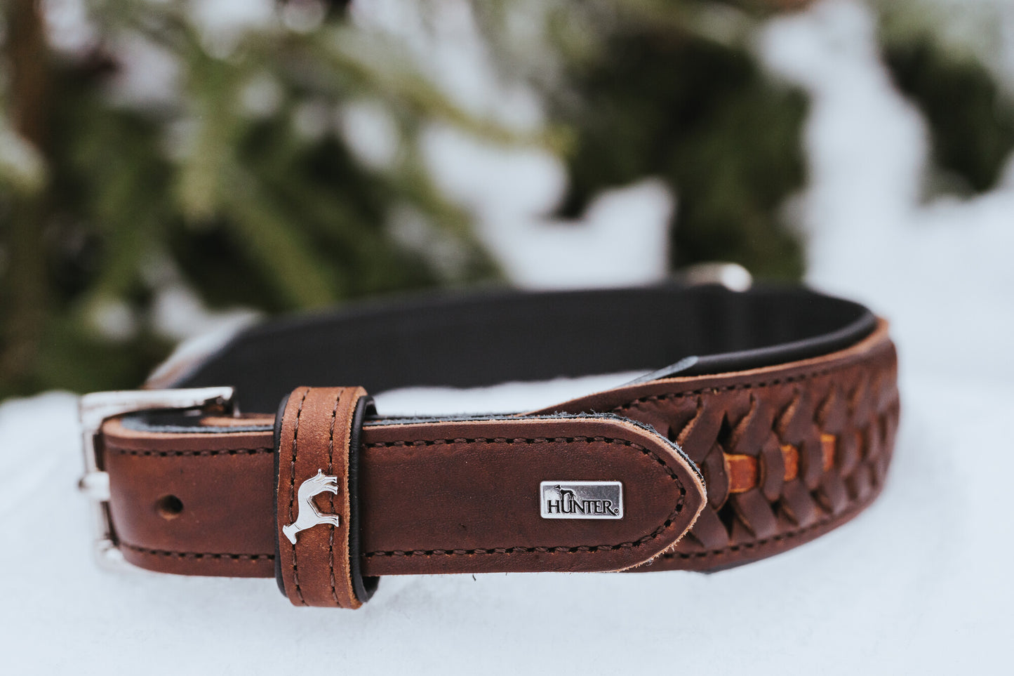 Solid Education Exclusive Boyun Tasması