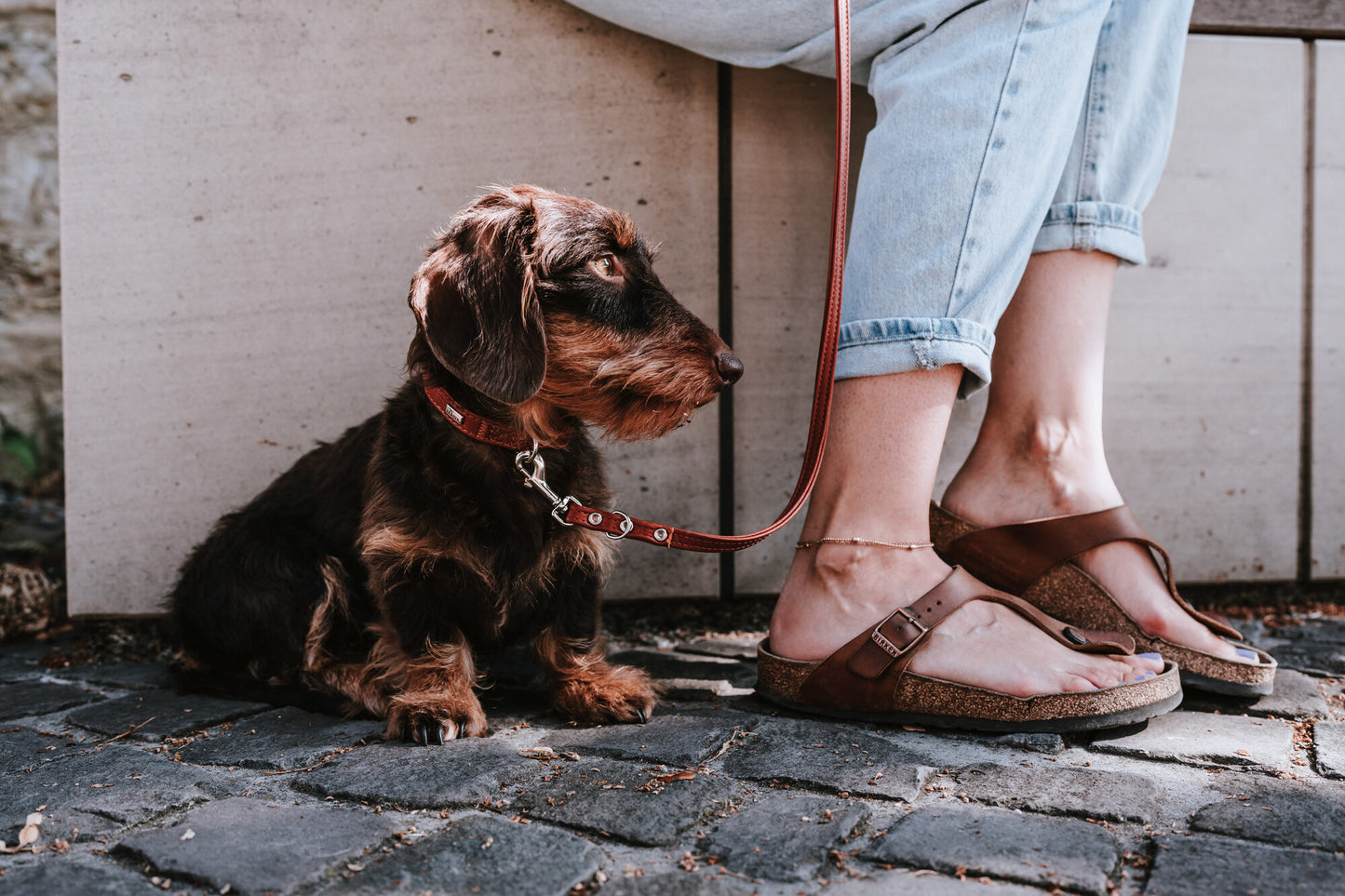 Canadian Up Handsfree Kayış