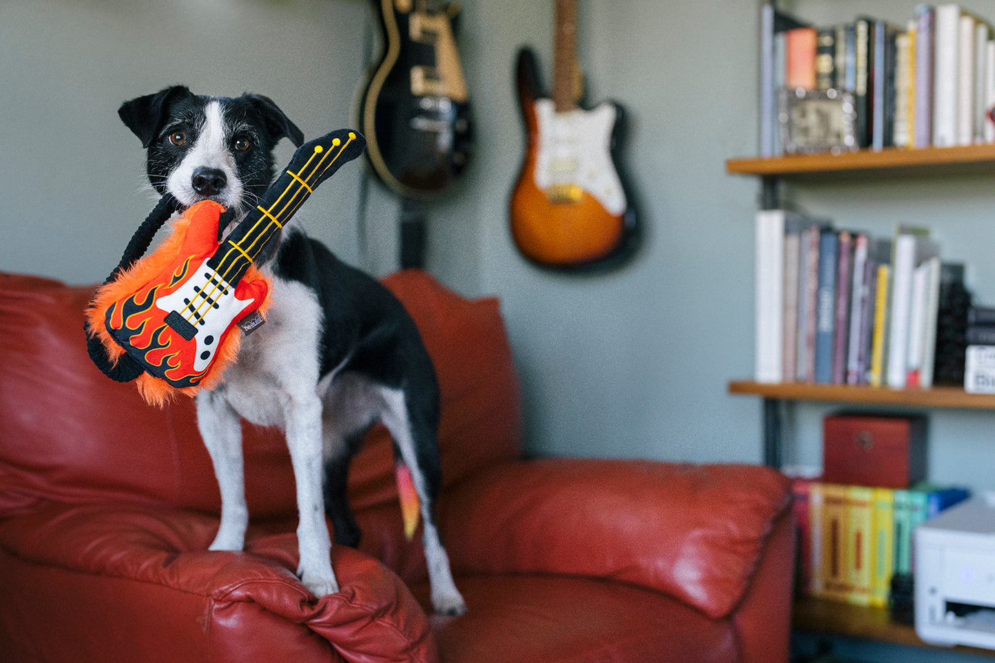 Electric Guitar