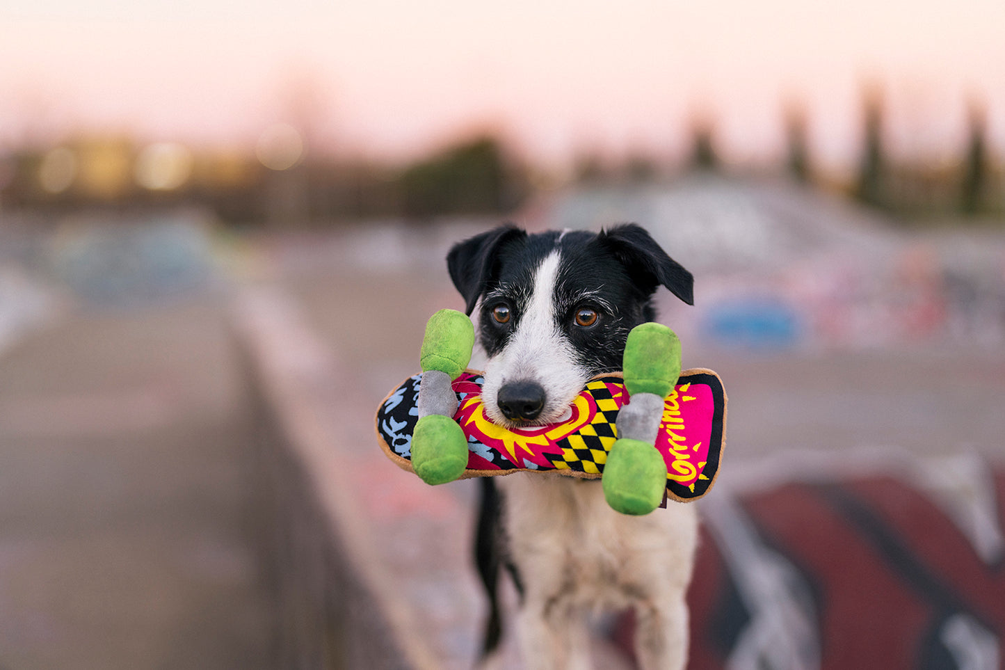 Skateboard