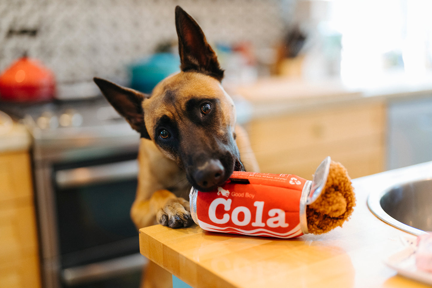 Good Boy Cola