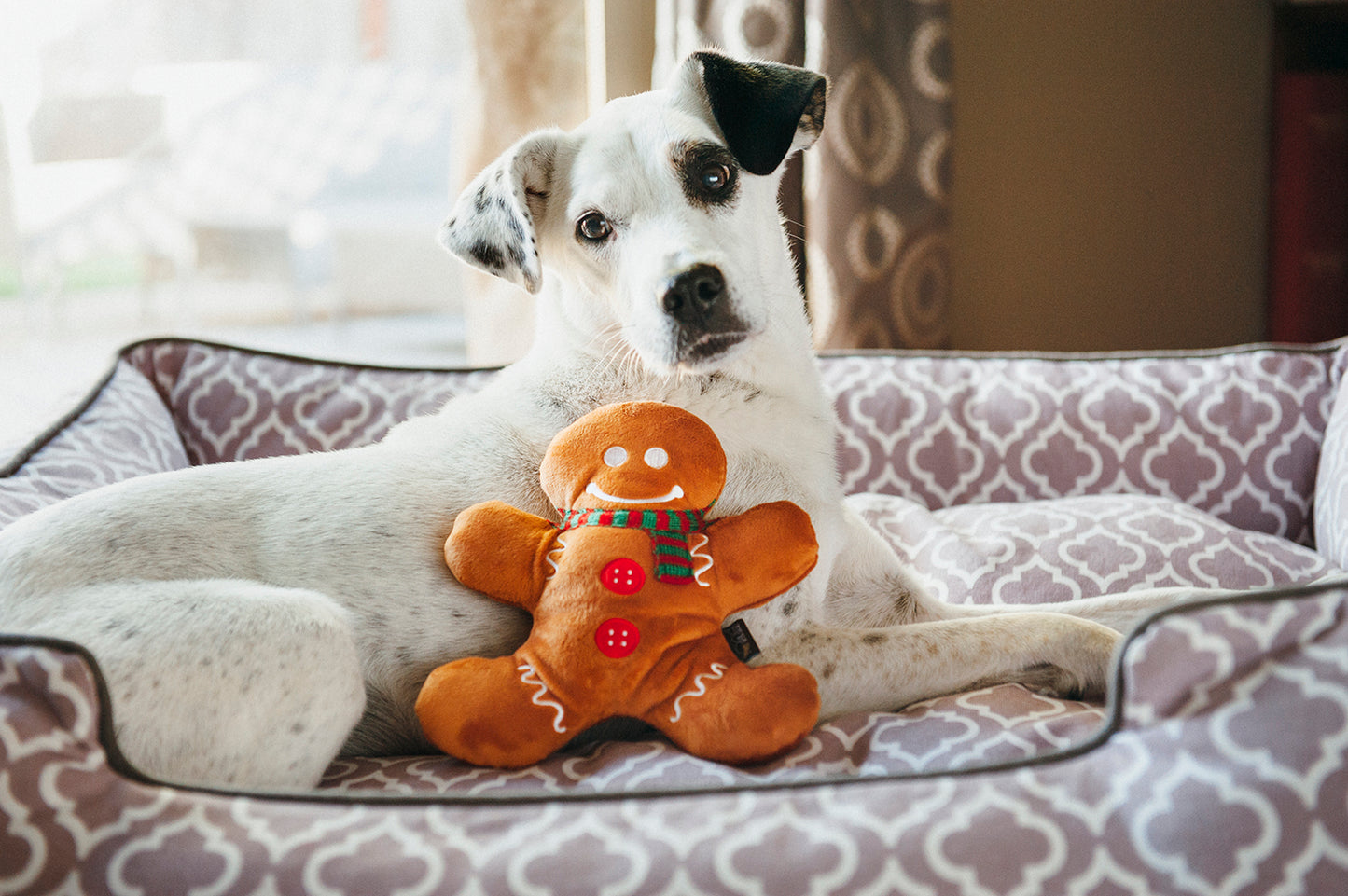 Gingerbread Man