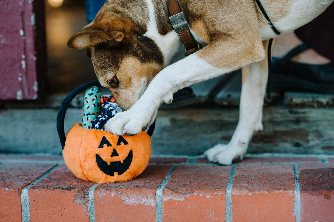 Pumpkin Basket