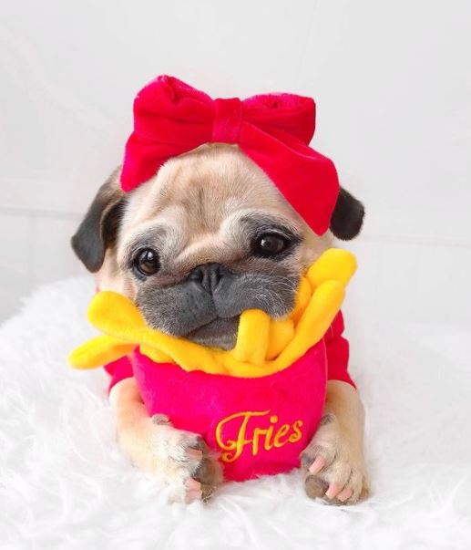 Frenchie Fries