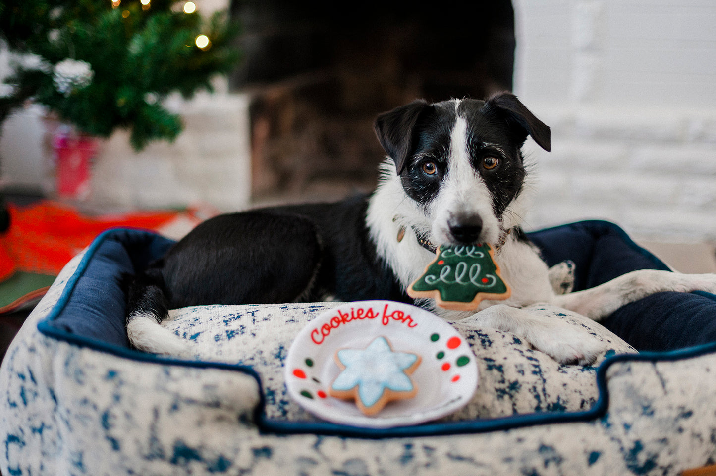 Christmas Eve Cookies