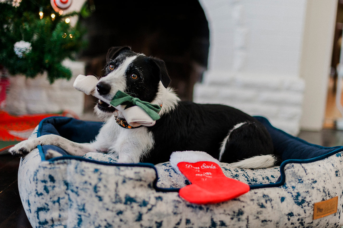 Good Dog Stocking