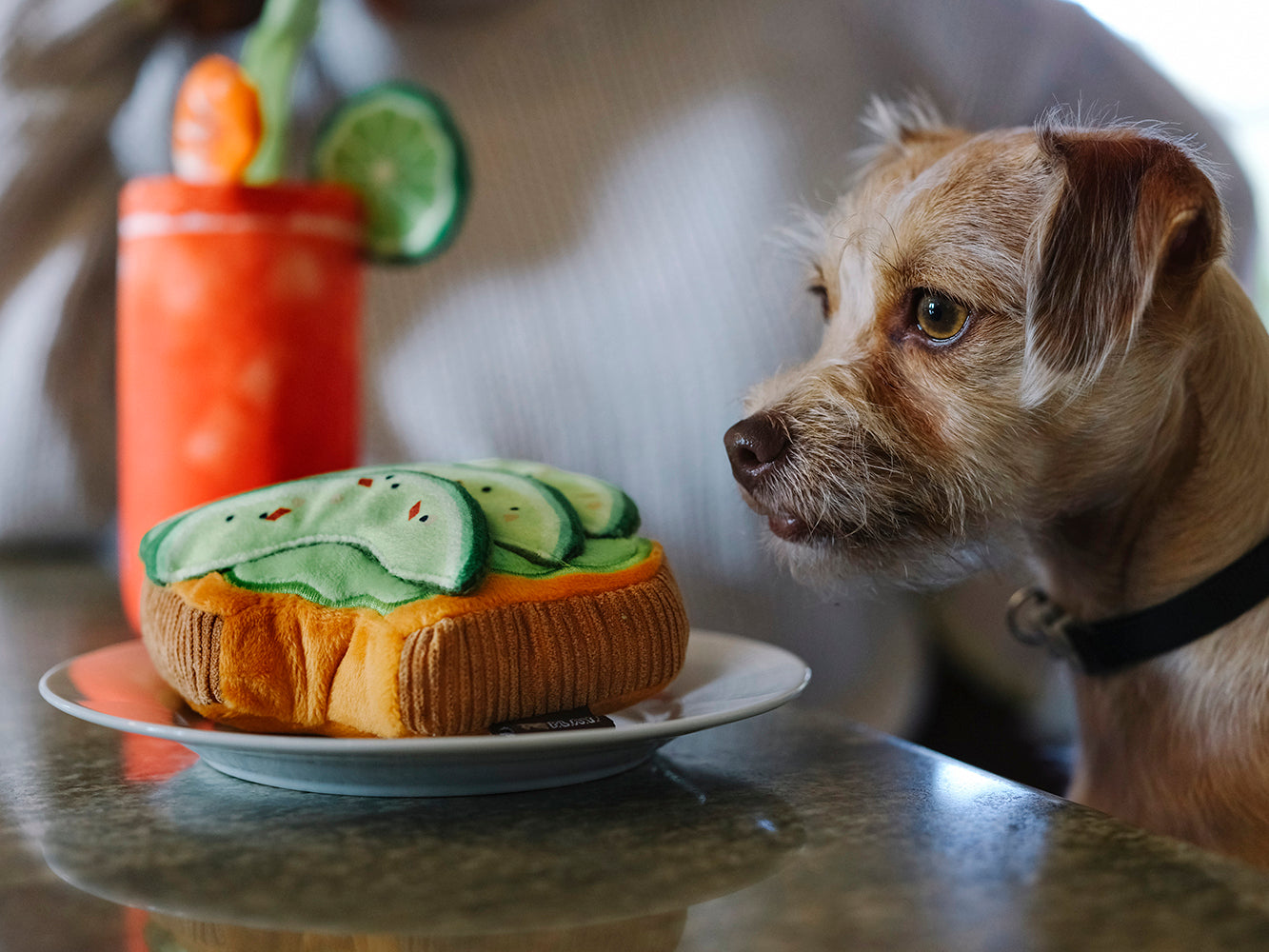 Avo-doggo Toast